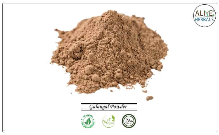 Galangal Powder - Buy from the health food store