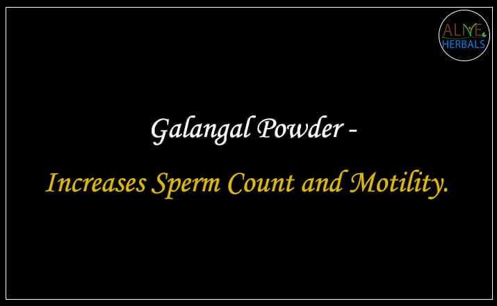 Galangal Powder- Buy from the natural health food store