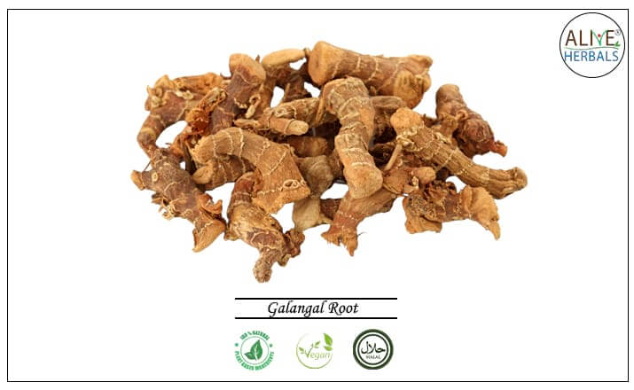 Galangal Root - Buy from the health food store