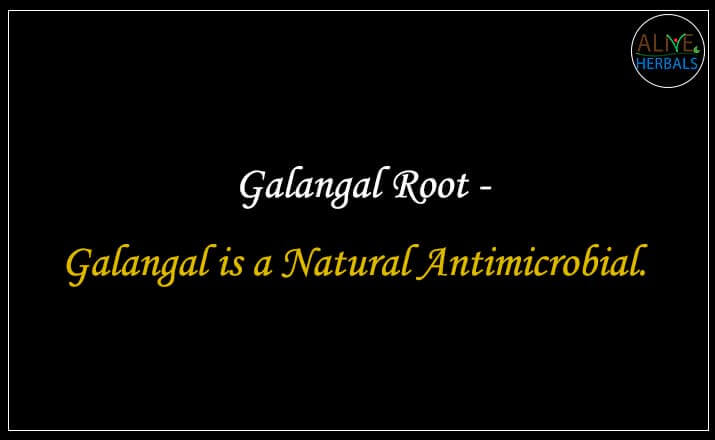 Galangal Root - Buy from the online herbal store