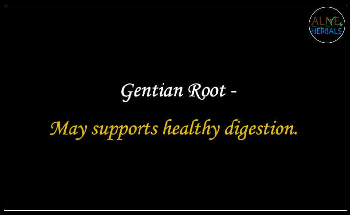 Gentian Root - Buy from the natural health food store