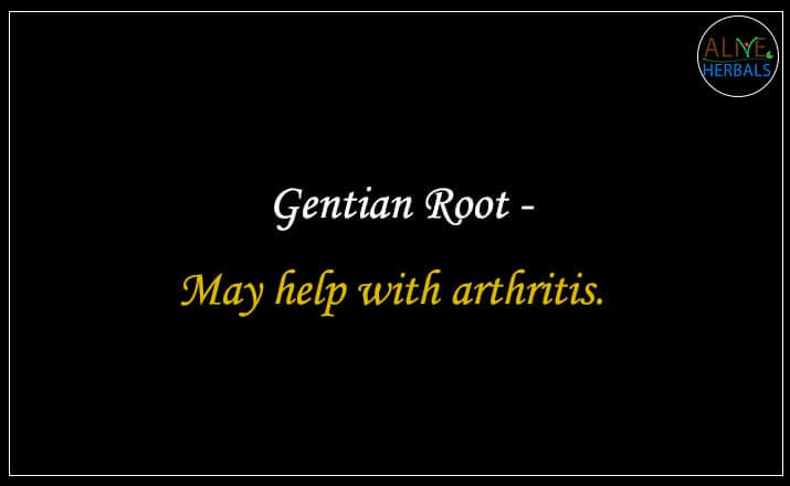 Gentian Root - Buy from the natural herb store