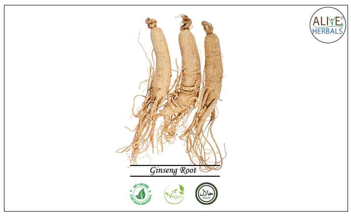 Ginseng Root - Buy from the health food store