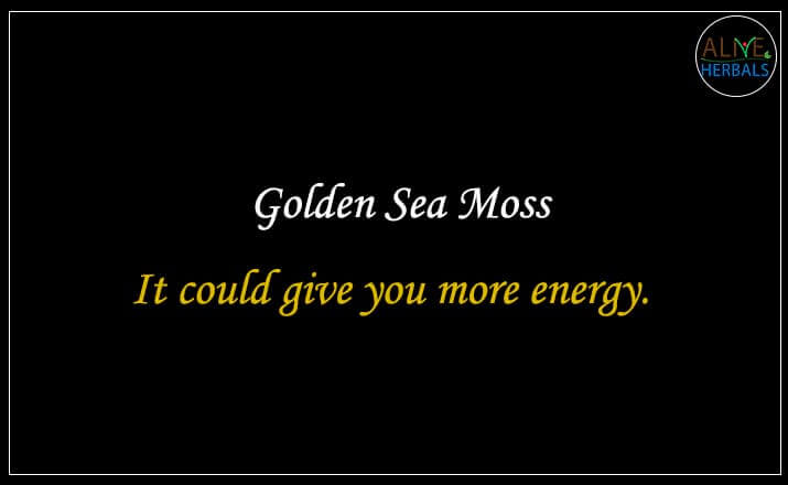 Golden Sea Moss - Buy from the natural health food store