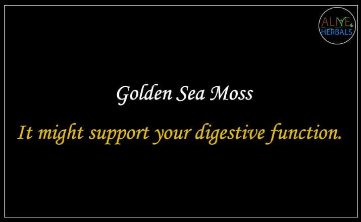 Golden Sea Moss - Buy from the natural herb store