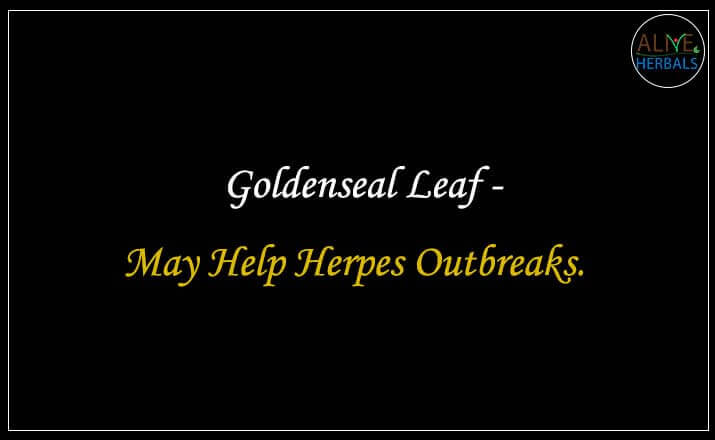 Goldenseal Leaf - Buy from the online herbal store