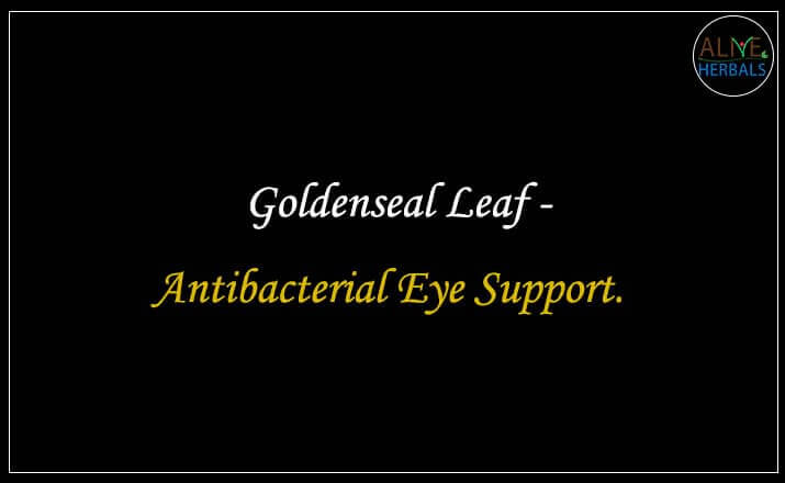 Goldenseal Leaf - Buy from the natural herb store