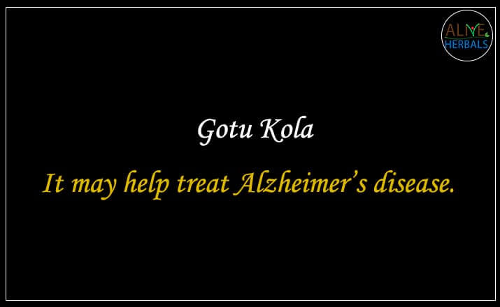 Gotu Kola - Buy from the online herbal store