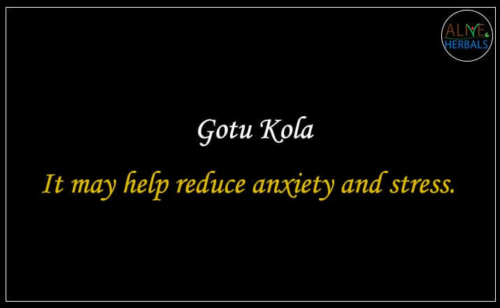 Gotu Kola - Buy from the natural health food store