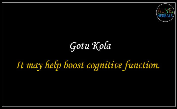 Gotu Kola - Buy from the natural herb store