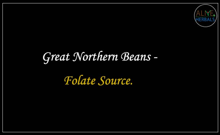 Great Northern Beans - Buy From the beans store online