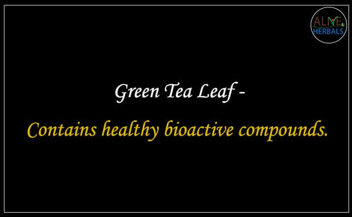 Green Tea Leaf - Buy from the Tea Store Brooklyn