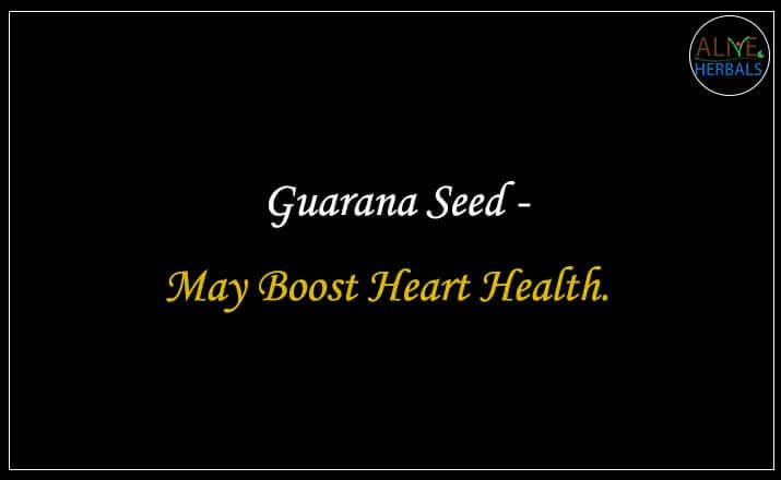 Guarana Seed - Buy from the natural health food store