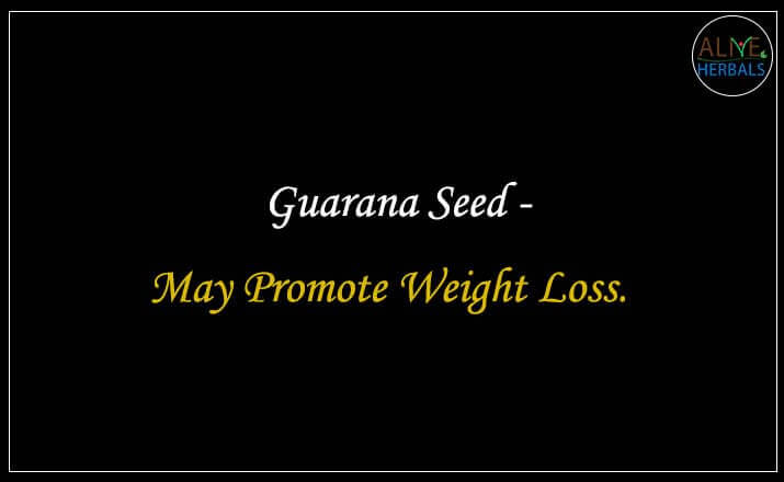 Guarana Seed - Buy from the natural herb store