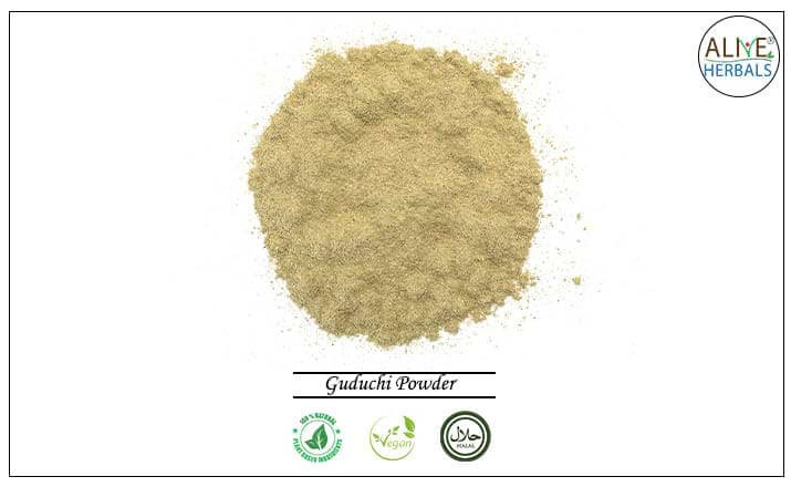 Guduchi Powder - Buy from the health food store