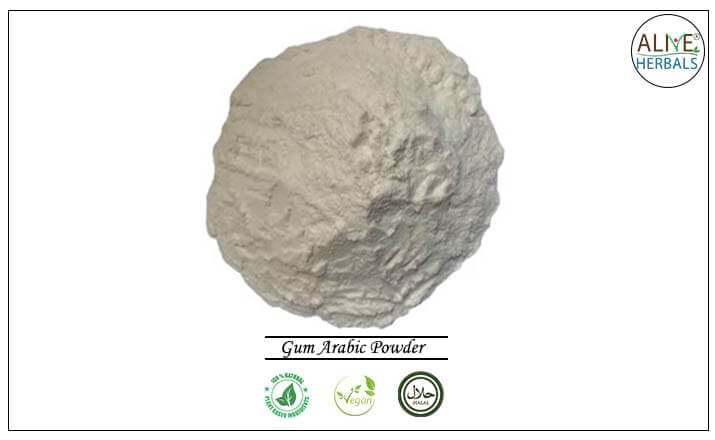 Gum Arabic Powder - Buy from the health food store