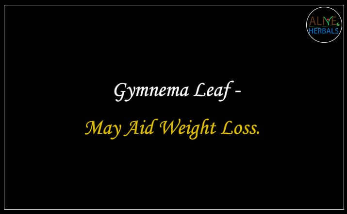 Gymnema Leaf - Buy at the Herbal Store Online at Brooklyn, NY, USA - Alive Herbals.