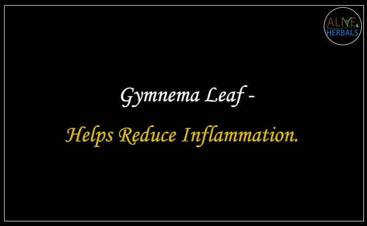 Gymnema Leaf - Buy at Herb Shop NYC at Brooklyn, NY, USA - Alive Herbals.