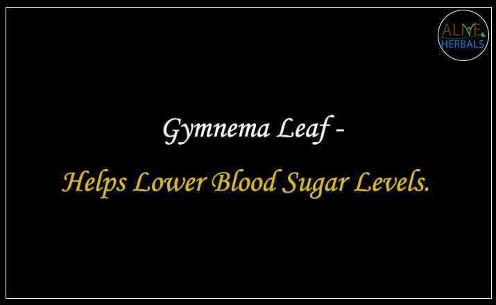 Gymnema Leaf - Buy at the Natural Herbal Store at Brooklyn, NY, USA - Alive Herbals.