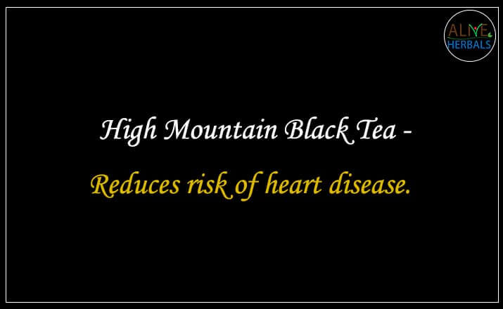 High Mountain Black Tea - Buy from the Tea Store Brooklyn