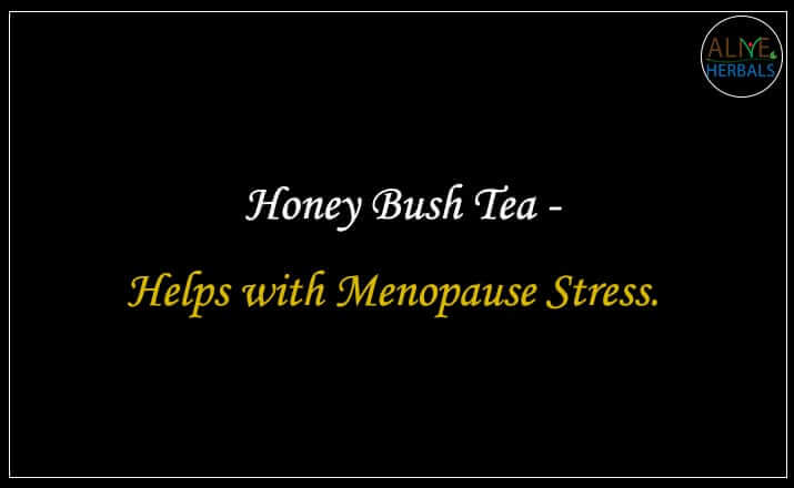 Honey Bush Tea - Buy from the Tea Store Near Me