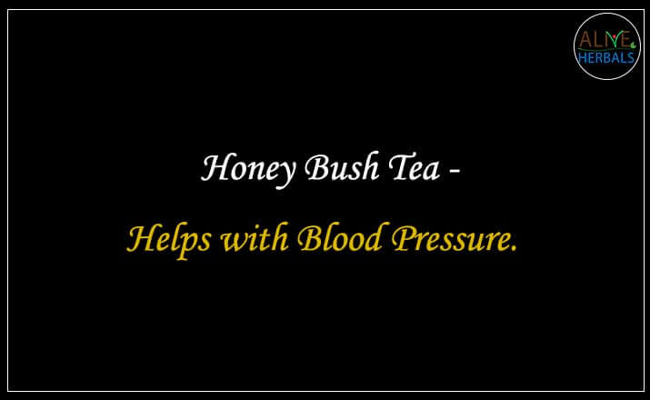 Honey Bush Tea - Buy from the Tea Store Brooklyn