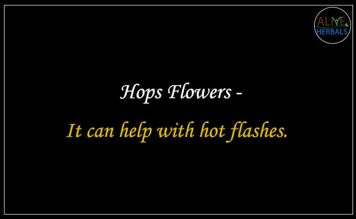 Hops Flowers - Buy from the best online herbal store