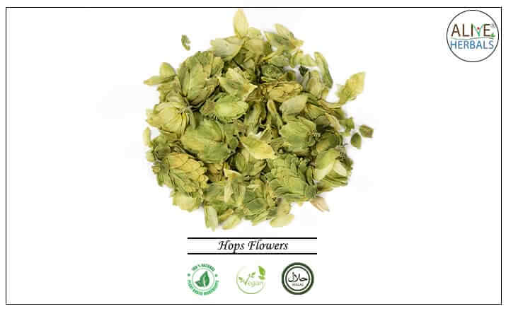 Hops Flowers - Buy from the natural health food store