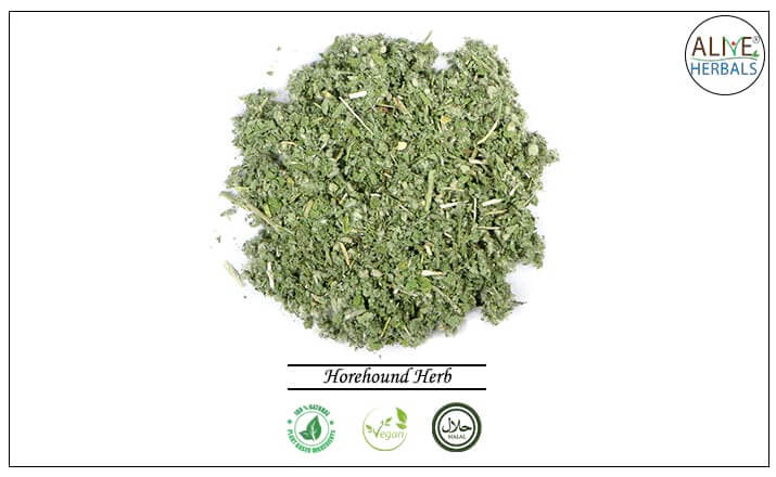 Horehound Herb - Buy from the natural health food store