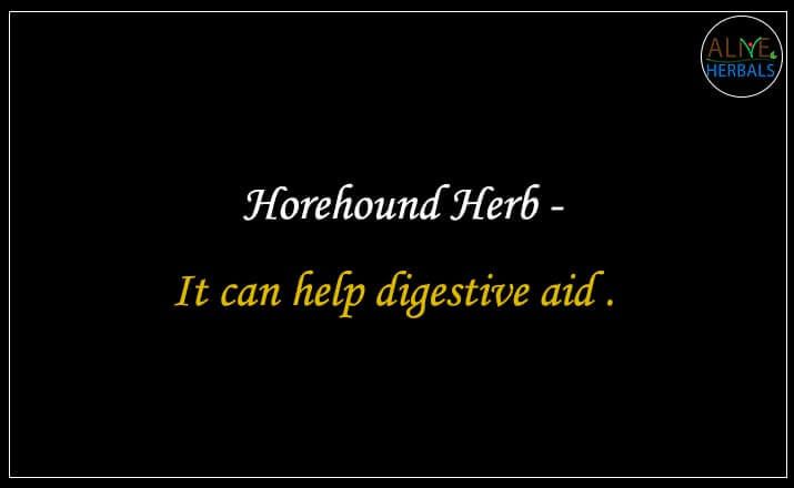 Horehound Herb - Buy from the natural herb store