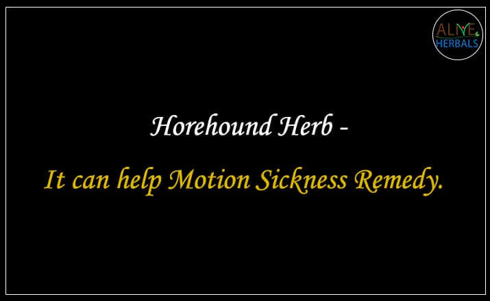 Horehound Herb - Buy from the best online herbal store