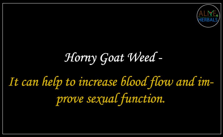 Horny Goat Weed Powder - Buy from the health food store