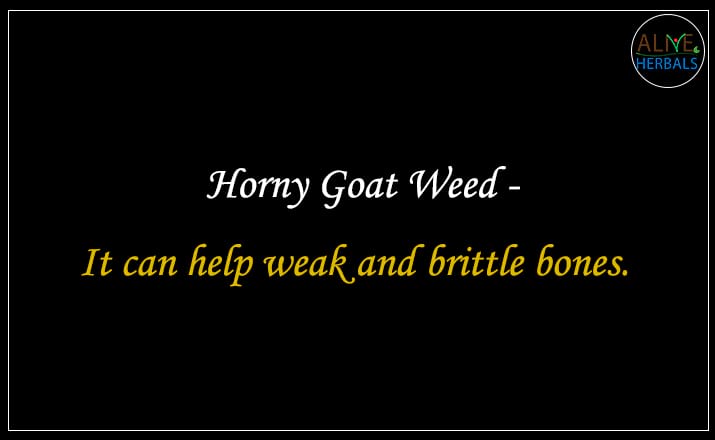 Horny Goat Weed - Buy from the online herbal store