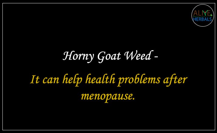 Horny Goat Weed - Buy from the natural health food store