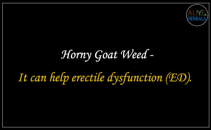 Horny Goat Weed - Buy from the natural herb store