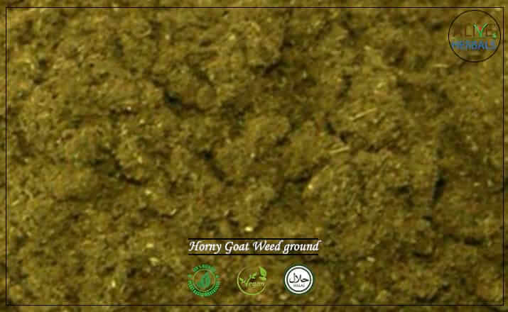 Horny Goat Weed Powder- Buy from the natural health food store