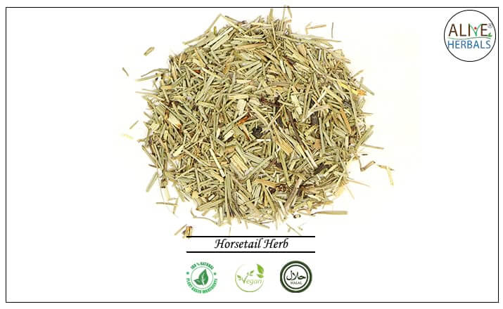 Horsetail Herb - Buy from the natural health food store