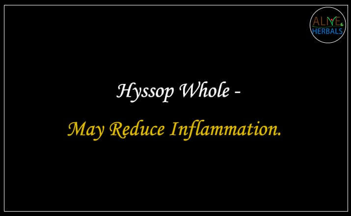 Dried Hyssop - Buy from the best online herbal store