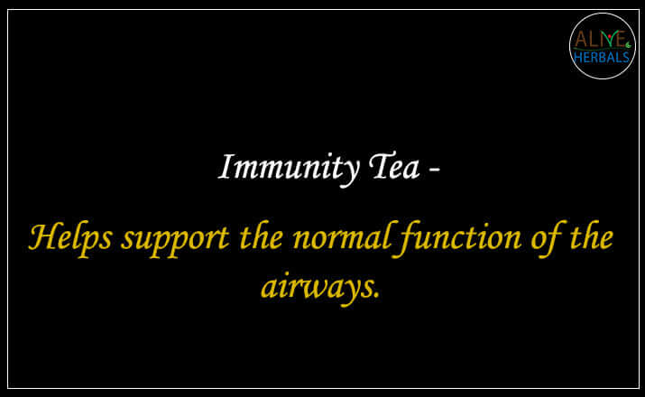 Immunity Tea - Buy from the Tea Store Brooklyn