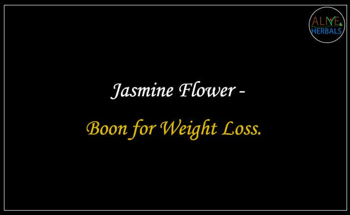 Jasmine Flower - Buy from the online herbal store