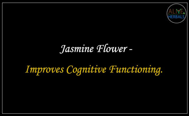 Jasmine Flower - Buy from the natural health food store