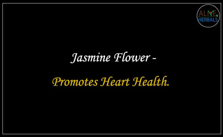 Jasmine Flower - Buy from the natural herb store