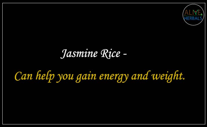 Jasmine Rice - Buy From the rice store