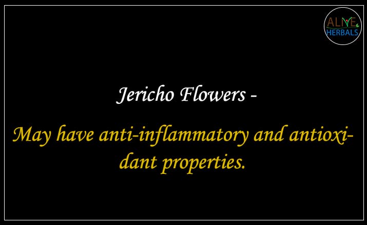 Jericho Flowers - Buy from the online herbal store
