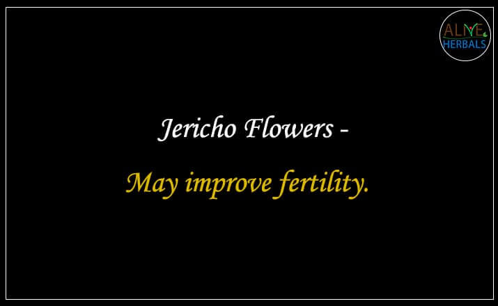 Jericho Flowers - Buy from the natural health food store