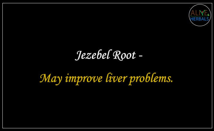 Jezebel Root - Buy from the online herbal store