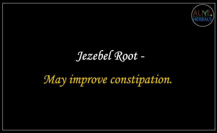 Jezebel Root - Buy from the natural health food store
