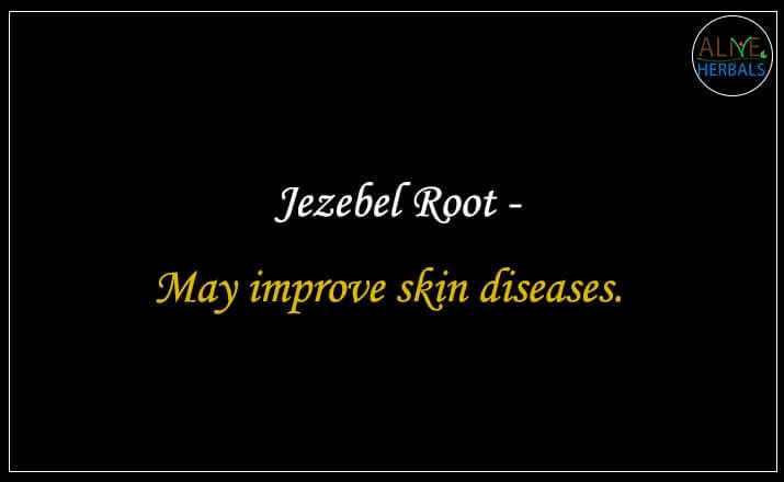 Jezebel Root - Buy from the natural herb store