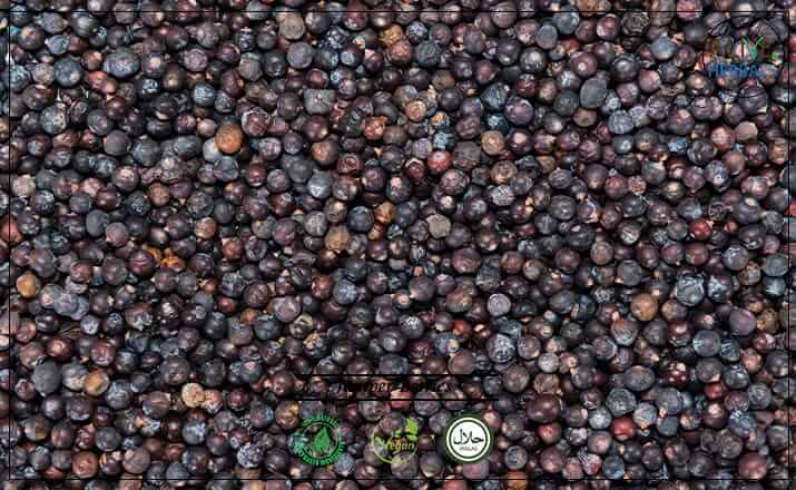 Juniper Berries - Buy from the health food store