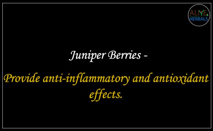 Juniper Berries - Buy from the online herbal store